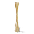 Bundle of Reeds