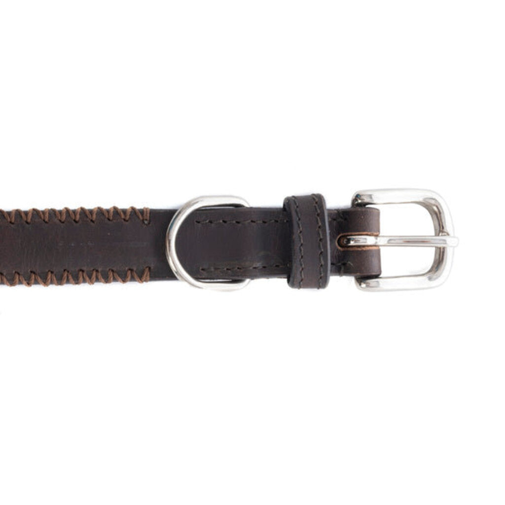 Rio Correr Leather Dog Collar in Chocolate S-10641 MD