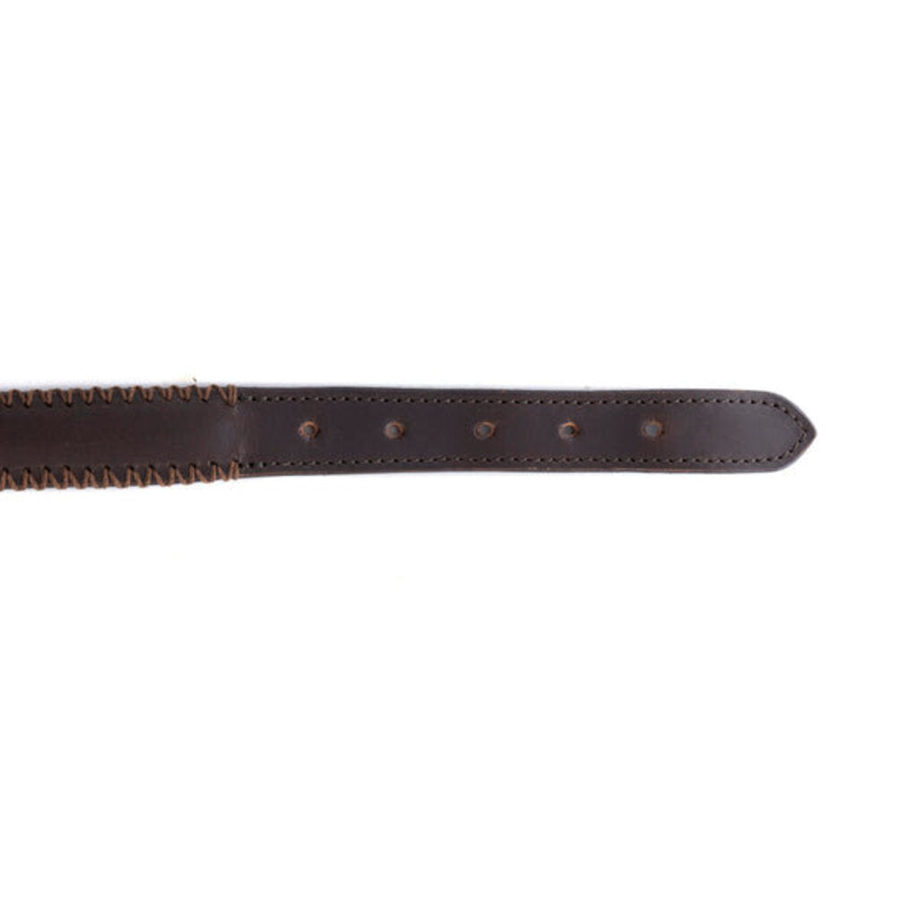 Rio Correr Leather Dog Collar in Chocolate S-10641 LG