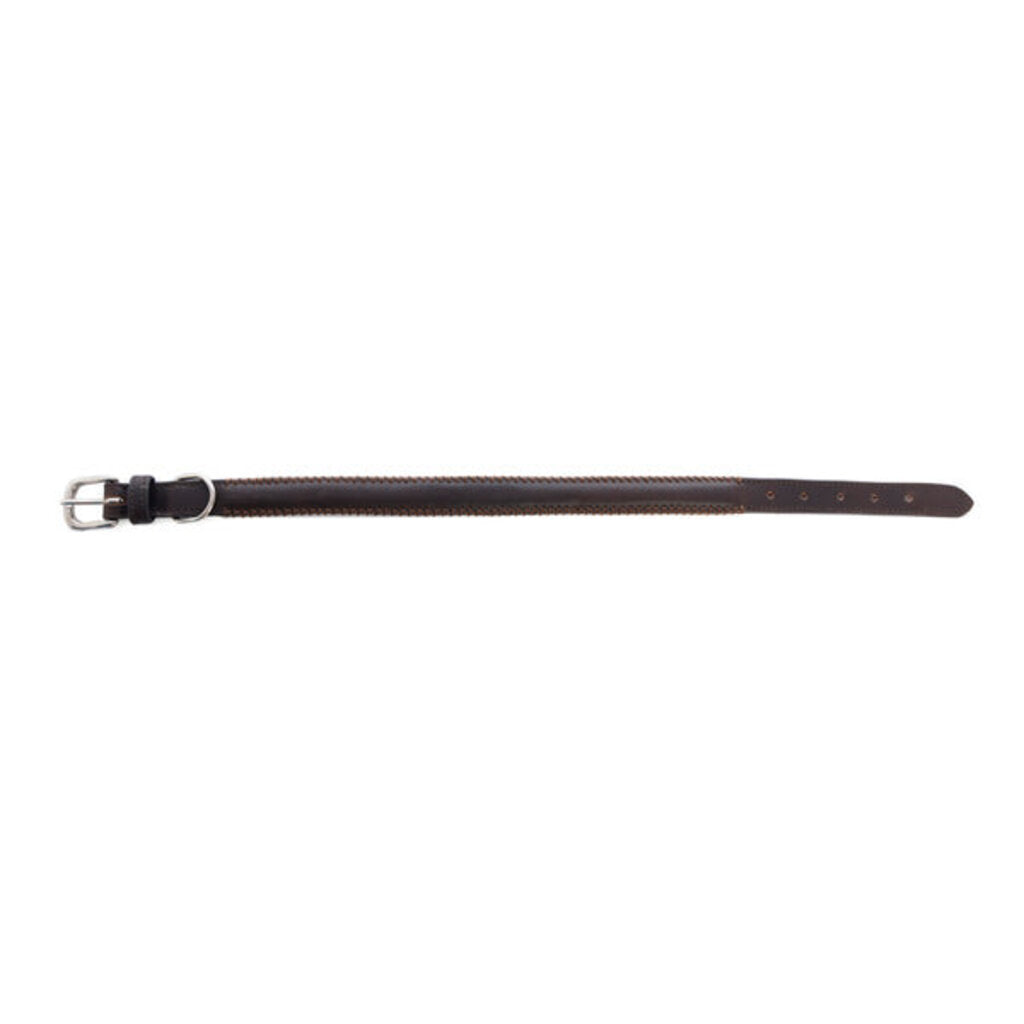 Rio Correr Leather Dog Collar in Chocolate S-10641 MD