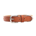 Rio Correr Leather Dog Collar in Caramel S-10639 SM