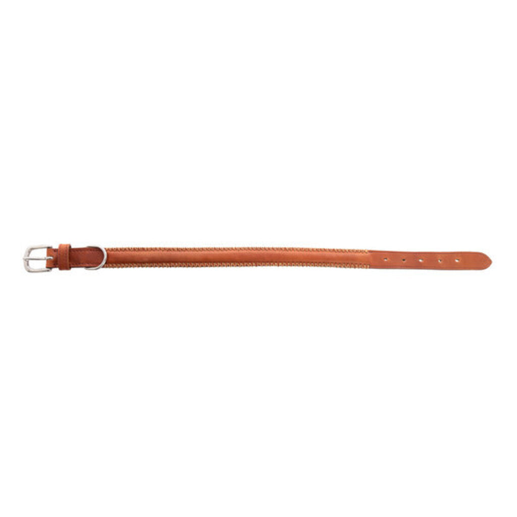 Rio Correr Leather Dog Collar in Caramel S-10639 LG