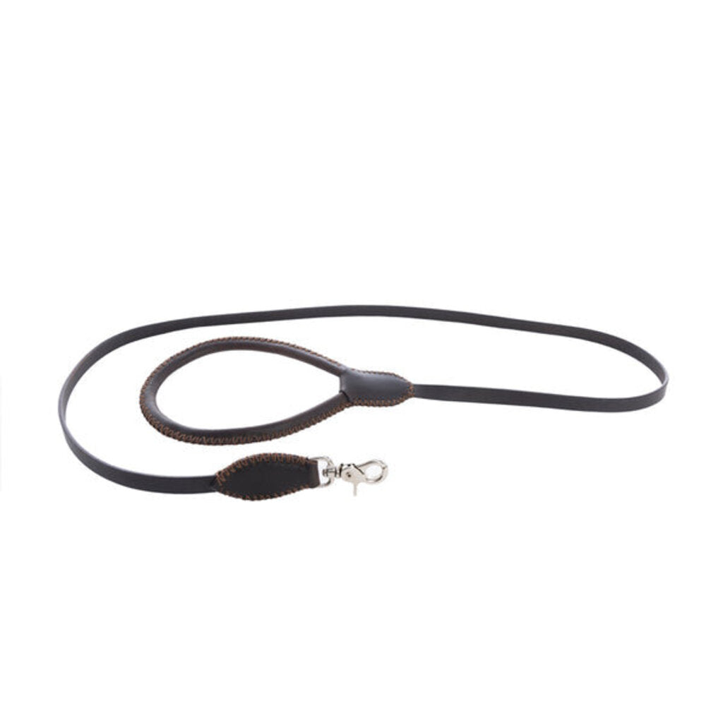 Exploradora Dog Leash in Ebony S-10637