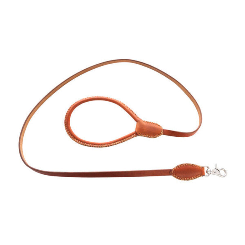 Exploradora Dog Leash in Caramel S-10636