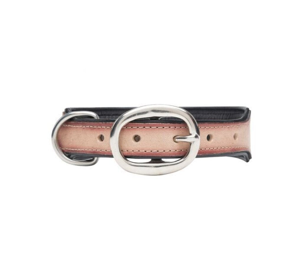 Cow Dog Trail Hand Tooled Leather Dog Collar S-10199 SM