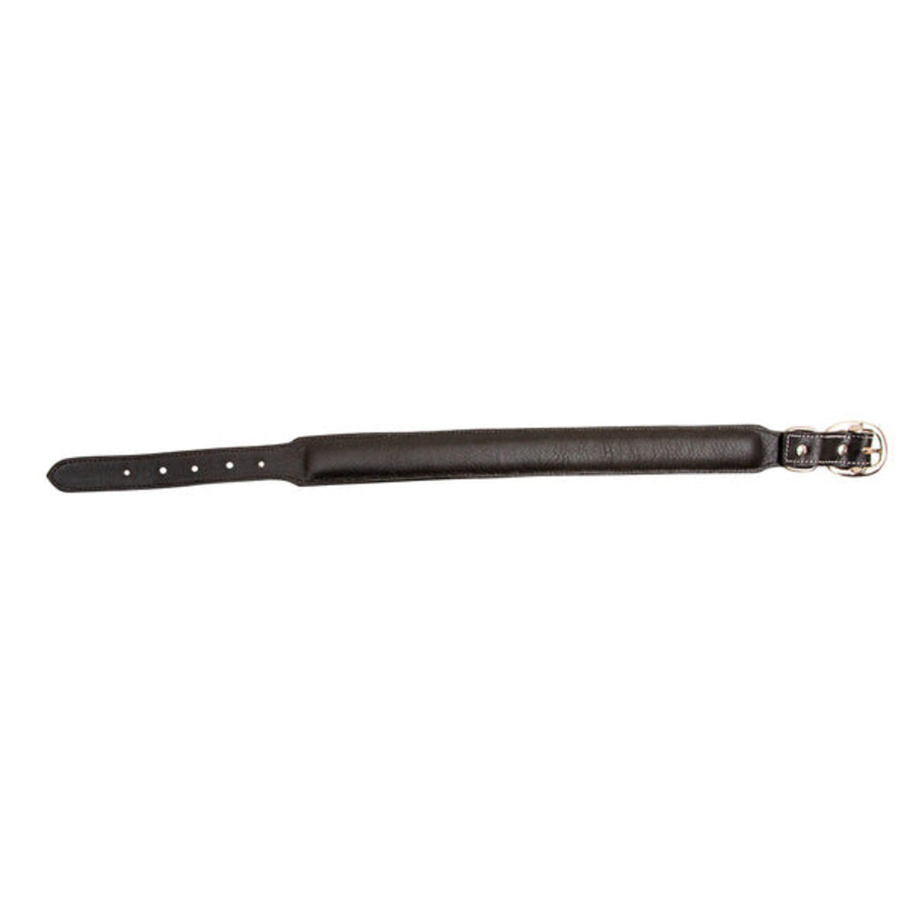 Hotshots Hand Tooled Leather Dog Collar S-6889 SM